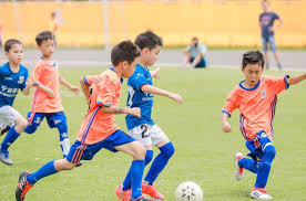 2026年国际足联世界杯 小白室内健身
